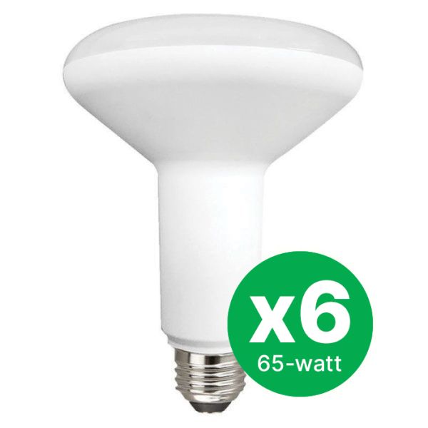 TCP Floodlight BR30 65W Daylight LED bulbs in a 6-pack