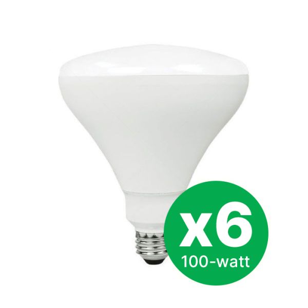 TCP Floodlight BR40 Dimmable 100W Daylight LED bulbs in a 6-pack